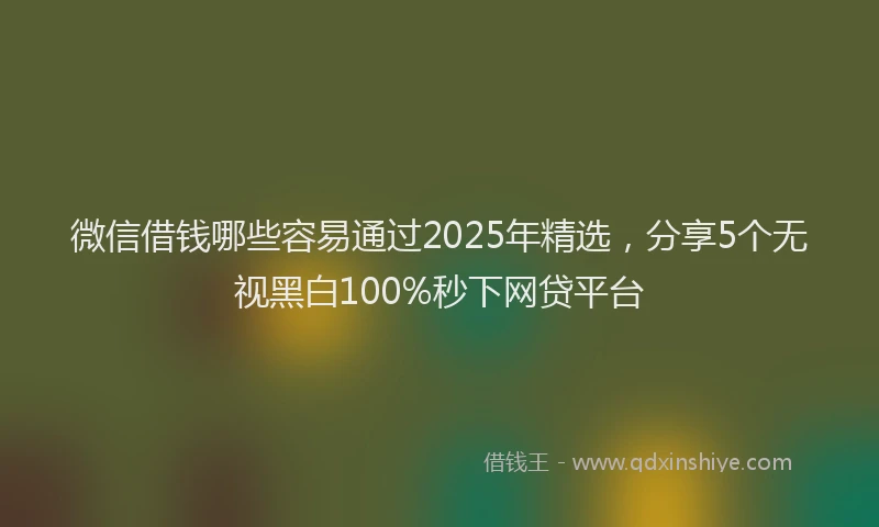 微信借钱哪些容易通过2025年精选，分享5个无视黑白100%秒下网贷平台