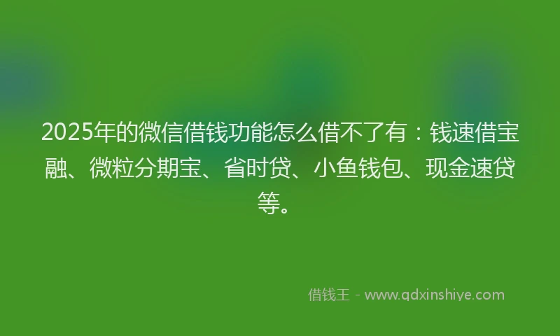 2025年的微信借钱功能怎么借不了有：钱速借宝融、微粒分期宝、省时贷、小鱼钱包、现金速贷等。