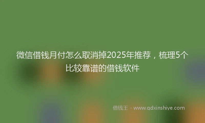 微信借钱月付怎么取消掉2025年推荐，梳理5个比较靠谱的借钱软件
