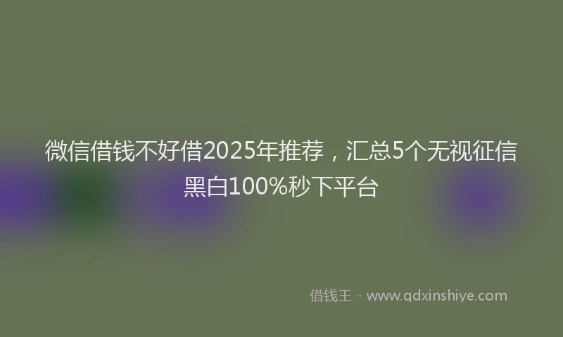 微信借钱不好借2025年推荐，汇总5个无视征信黑白100%秒下平台