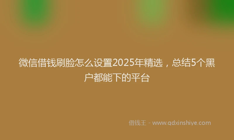 微信借钱刷脸怎么设置2025年精选，总结5个黑户都能下的平台