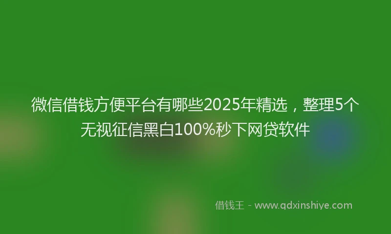 微信借钱方便平台有哪些2025年精选，整理5个无视征信黑白100%秒下网贷软件