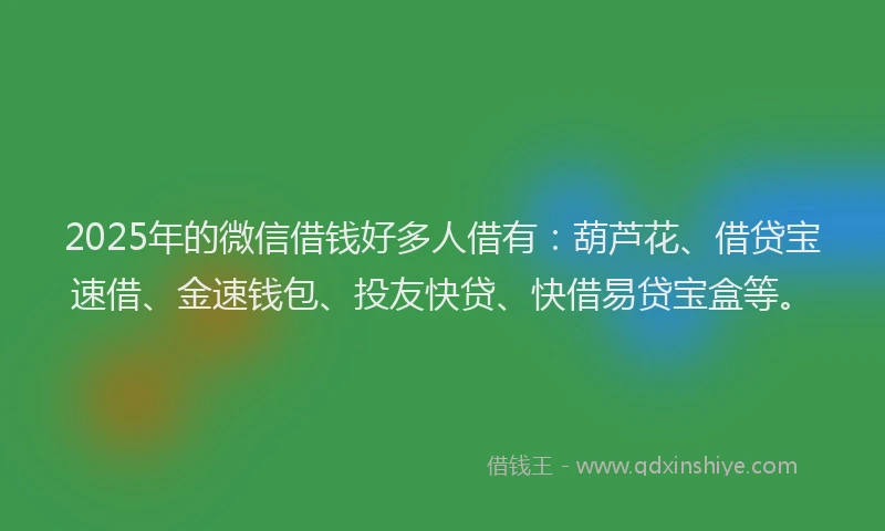 2025年的微信借钱好多人借有：葫芦花、借贷宝速借、金速钱包、投友快贷、快借易贷宝盒等。