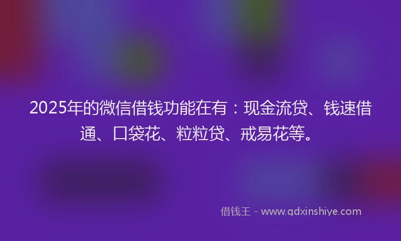 2025年的微信借钱功能在有：现金流贷、钱速借通、口袋花、粒粒贷、戒易花等。