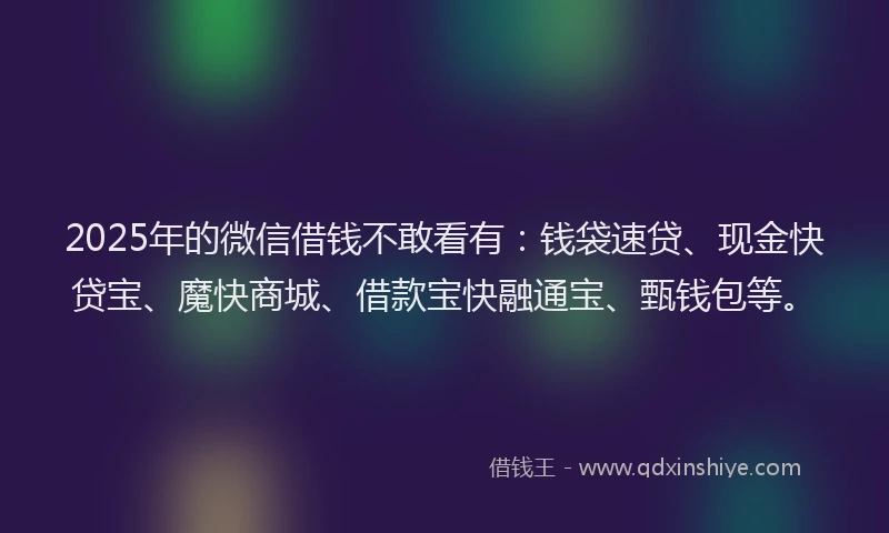 2025年的微信借钱不敢看有：钱袋速贷、现金快贷宝、魔快商城、借款宝快融通宝、甄钱包等。