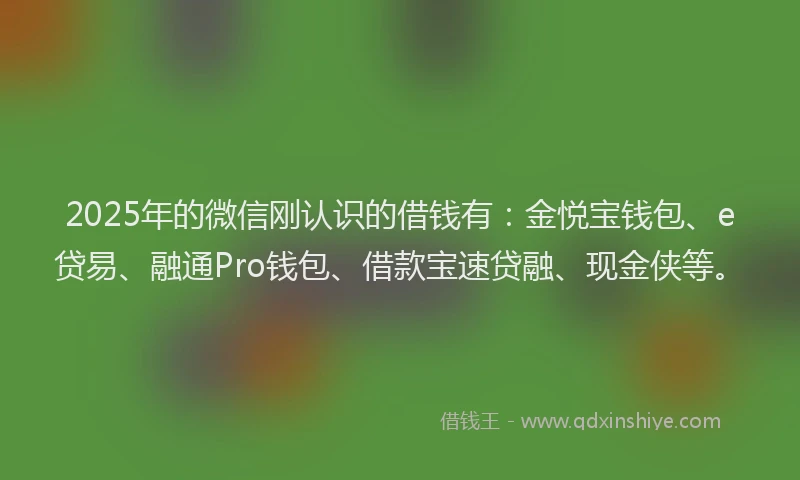 2025年的微信刚认识的借钱有：金悦宝钱包、e贷易、融通Pro钱包、借款宝速贷融、现金侠等。