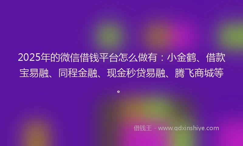 2025年的微信借钱平台怎么做有：小金鹤、借款宝易融、同程金融、现金秒贷易融、腾飞商城等。