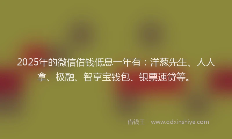 2025年的微信借钱低息一年有：洋葱先生、人人拿、极融、智享宝钱包、银票速贷等。