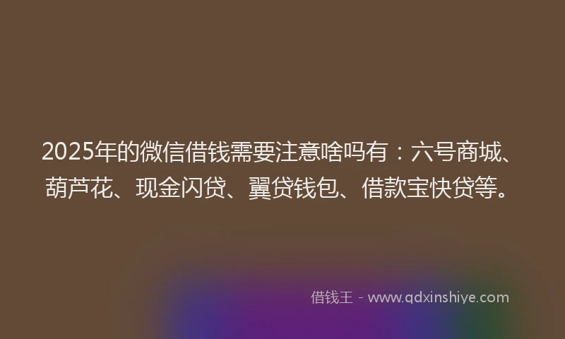 2025年的微信借钱需要注意啥吗有：六号商城、葫芦花、现金闪贷、翼贷钱包、借款宝快贷等。
