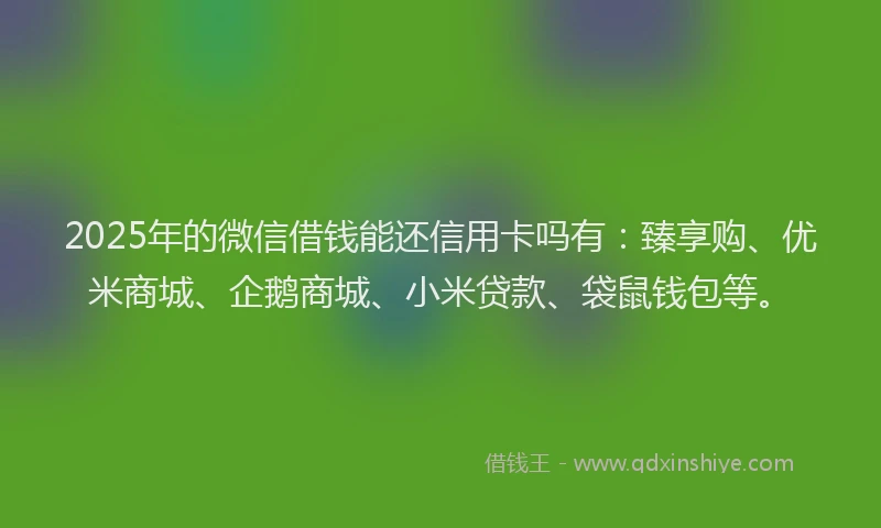 2025年的微信借钱能还信用卡吗有：臻享购、优米商城、企鹅商城、小米贷款、袋鼠钱包等。