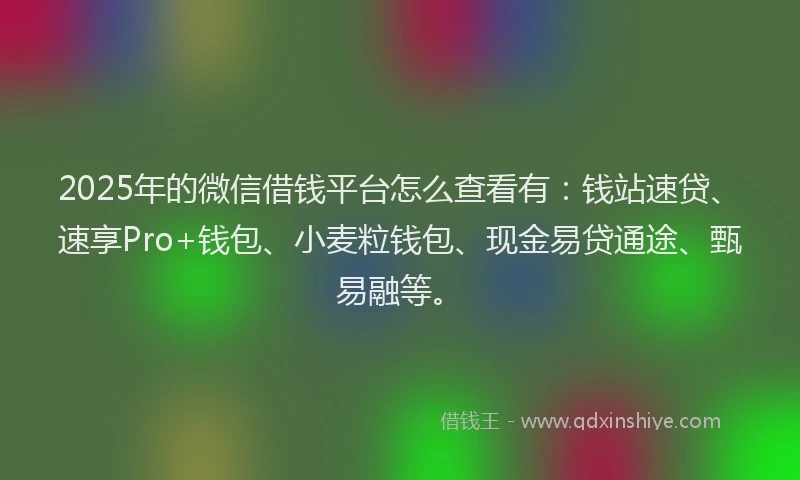 2025年的微信借钱平台怎么查看有：钱站速贷、速享Pro+钱包、小麦粒钱包、现金易贷通途、甄易融等。