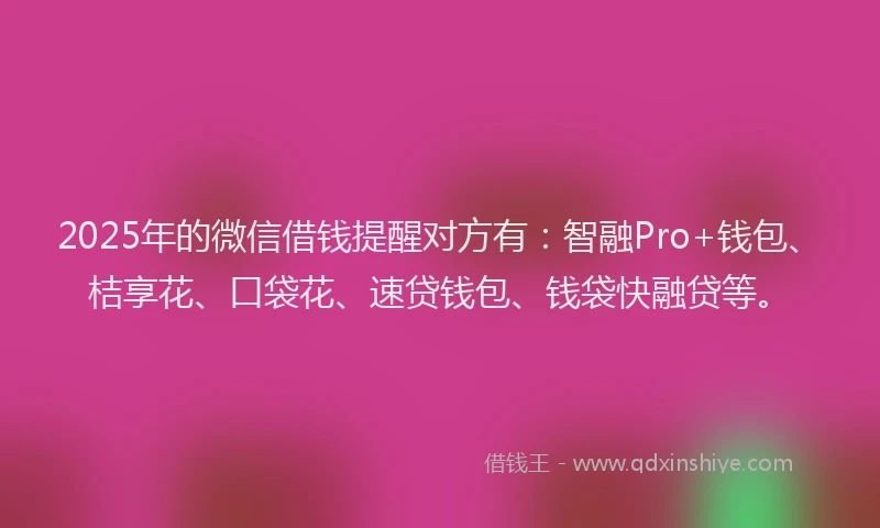 2025年的微信借钱提醒对方有：智融Pro+钱包、桔享花、口袋花、速贷钱包、钱袋快融贷等。