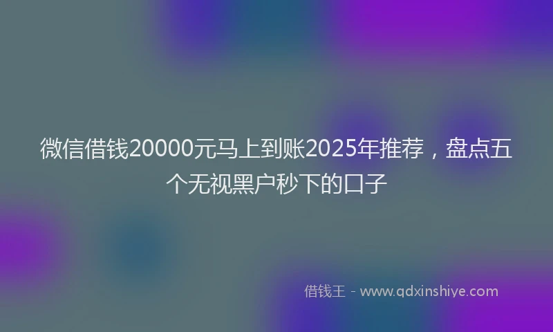微信借钱20000元马上到账2025年推荐，盘点五个无视黑户秒下的口子