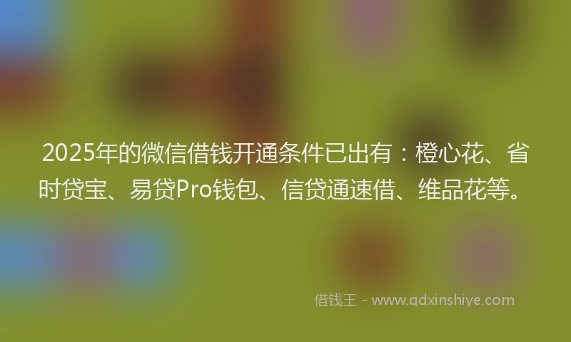 2025年的微信借钱开通条件已出有：橙心花、省时贷宝、易贷Pro钱包、信贷通速借、维品花等。