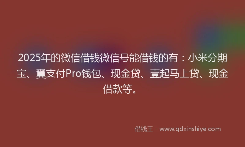 2025年的微信借钱微信号能借钱的有：小米分期宝、翼支付Pro钱包、现金贷、壹起马上贷、现金借款等。