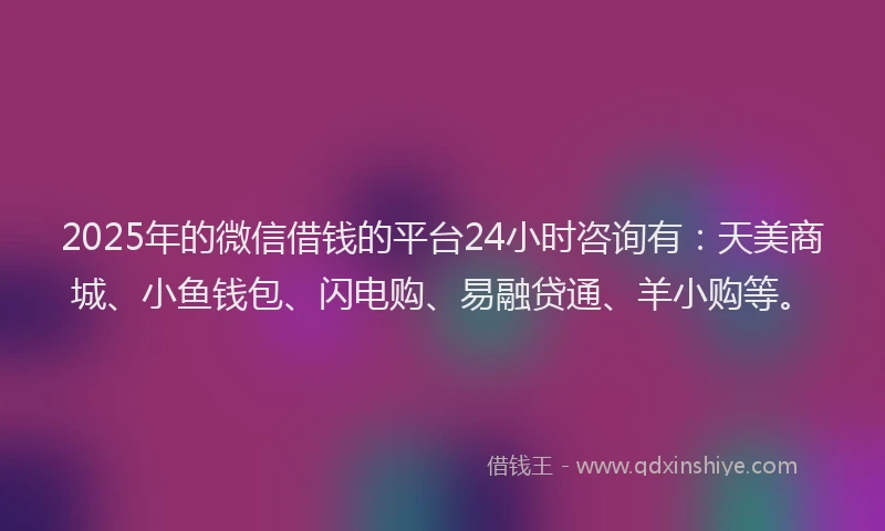 2025年的微信借钱的平台24小时咨询有：天美商城、小鱼钱包、闪电购、易融贷通、羊小购等。