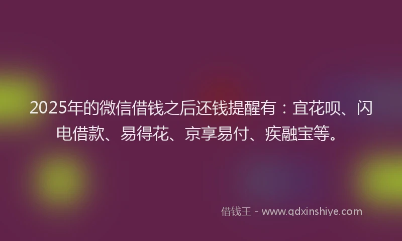 2025年的微信借钱之后还钱提醒有：宜花呗、闪电借款、易得花、京享易付、疾融宝等。