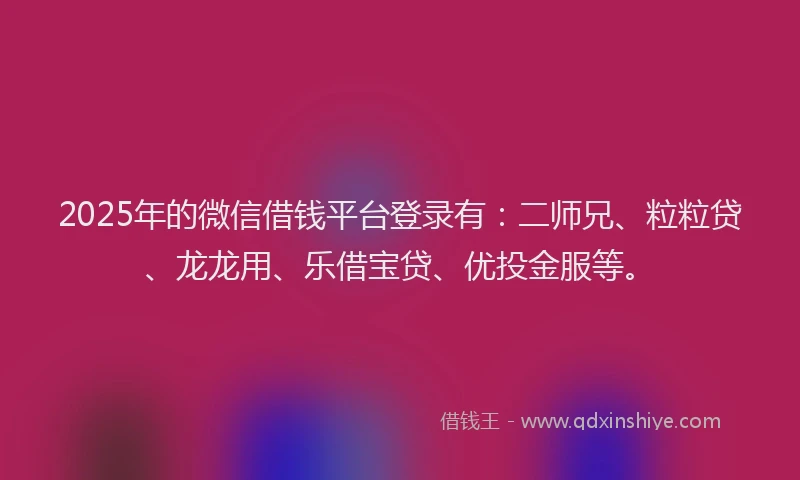 2025年的微信借钱平台登录有：二师兄、粒粒贷、龙龙用、乐借宝贷、优投金服等。