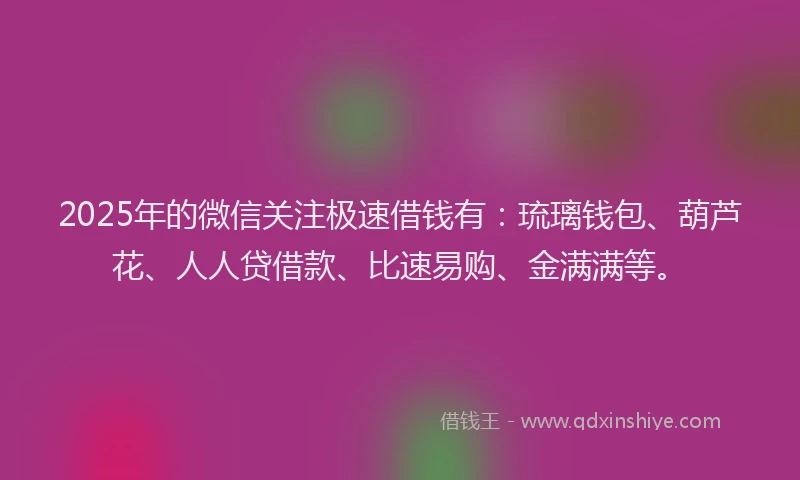 2025年的微信关注极速借钱有：琉璃钱包、葫芦花、人人贷借款、比速易购、金满满等。
