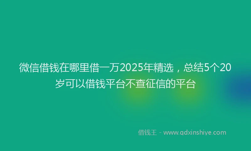 微信借钱在哪里借一万2025年精选，总结5个20岁可以借钱平台不查征信的平台