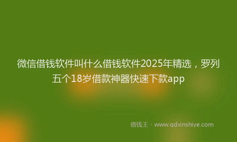 微信借钱软件叫什么借钱软件2025年精选，罗列五个18岁借款神器快速下款app