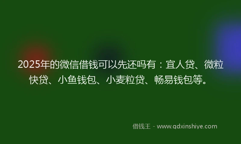 2025年的微信借钱可以先还吗有：宜人贷、微粒快贷、小鱼钱包、小麦粒贷、畅易钱包等。