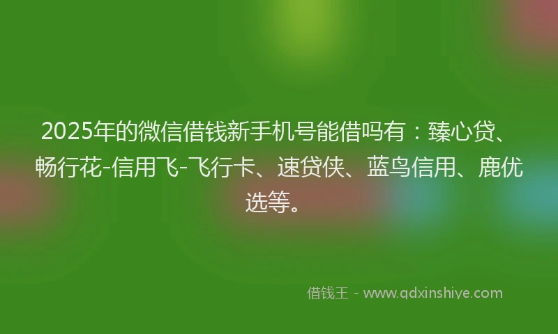 2025年的微信借钱新手机号能借吗有：臻心贷、畅行花-信用飞-飞行卡、速贷侠、蓝鸟信用、鹿优选等。