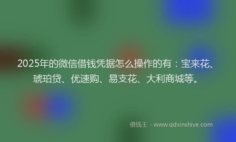 2025年的微信借钱凭据怎么操作的有：宝来花、琥珀贷、优速购、易支花、大利商城等。