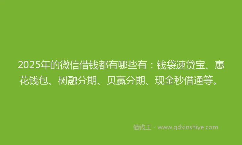2025年的微信借钱都有哪些有：钱袋速贷宝、惠花钱包、树融分期、贝赢分期、现金秒借通等。