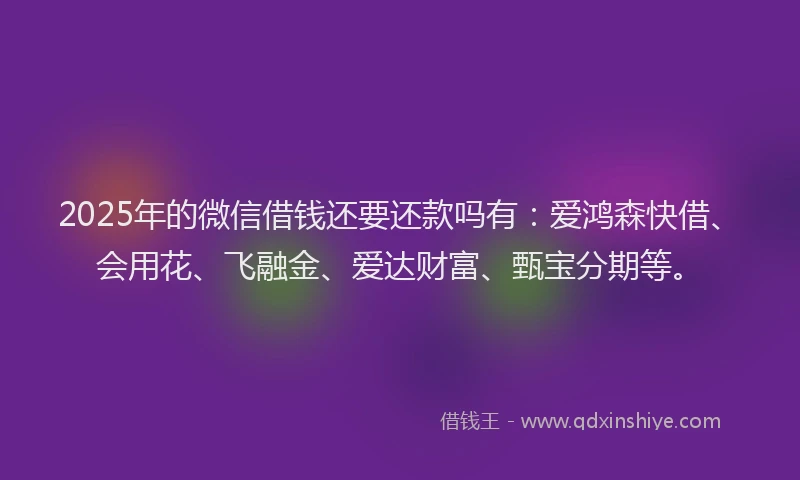 2025年的微信借钱还要还款吗有：爱鸿森快借、会用花、飞融金、爱达财富、甄宝分期等。