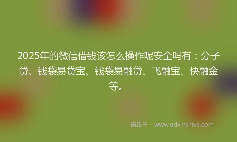 2025年的微信借钱该怎么操作呢安全吗有：分子贷、钱袋易贷宝、钱袋易融贷、飞融宝、快融金等。