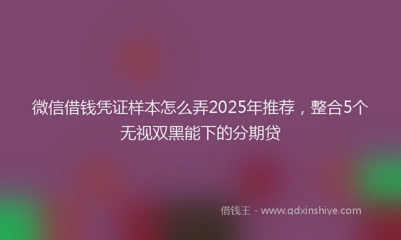 微信借钱凭证样本怎么弄2025年推荐，整合5个无视双黑能下的分期贷
