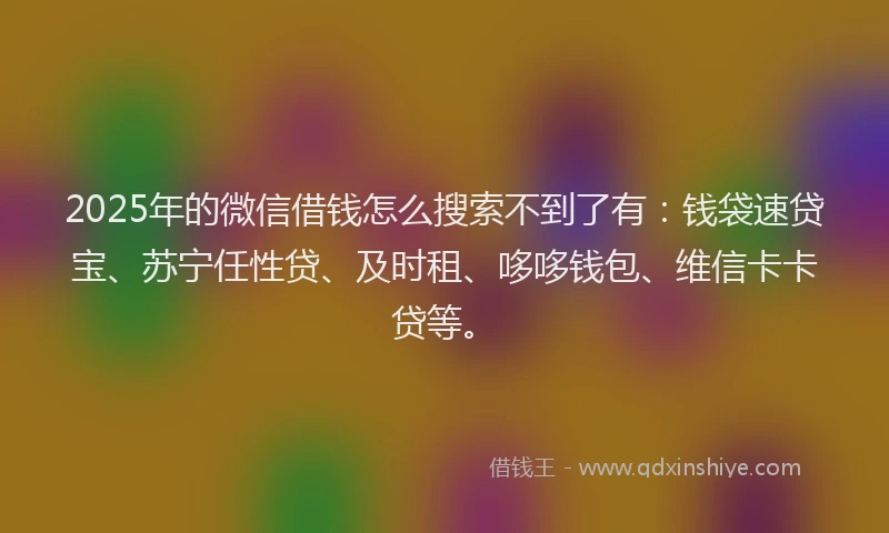 2025年的微信借钱怎么搜索不到了有：钱袋速贷宝、苏宁任性贷、及时租、哆哆钱包、维信卡卡贷等。