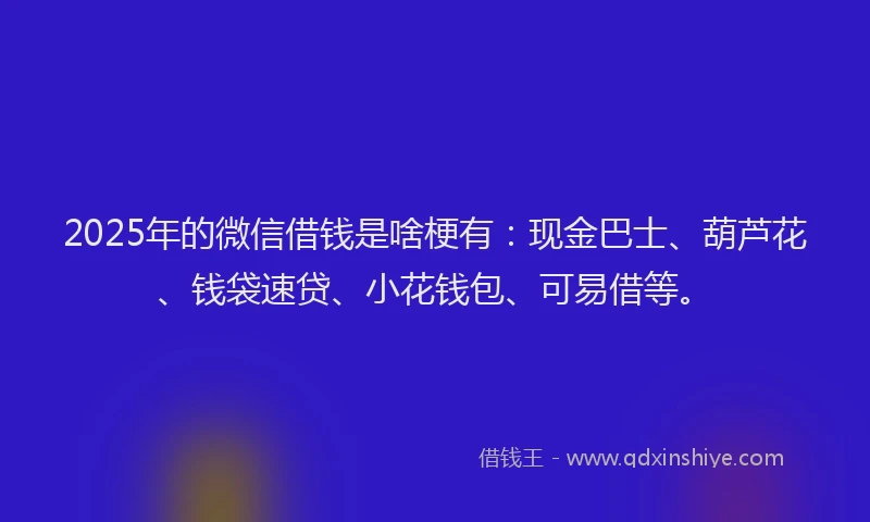2025年的微信借钱是啥梗有：现金巴士、葫芦花、钱袋速贷、小花钱包、可易借等。