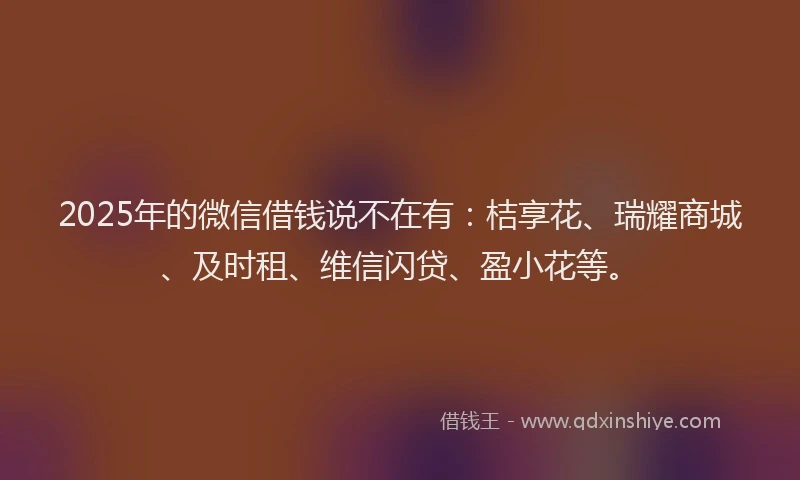2025年的微信借钱说不在有：桔享花、瑞耀商城、及时租、维信闪贷、盈小花等。