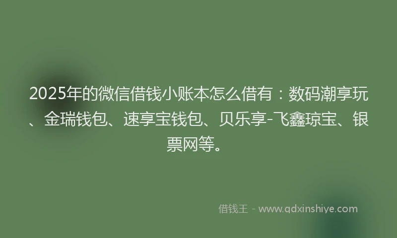 2025年的微信借钱小账本怎么借有：数码潮享玩、金瑞钱包、速享宝钱包、贝乐享-飞鑫琼宝、银票网等。