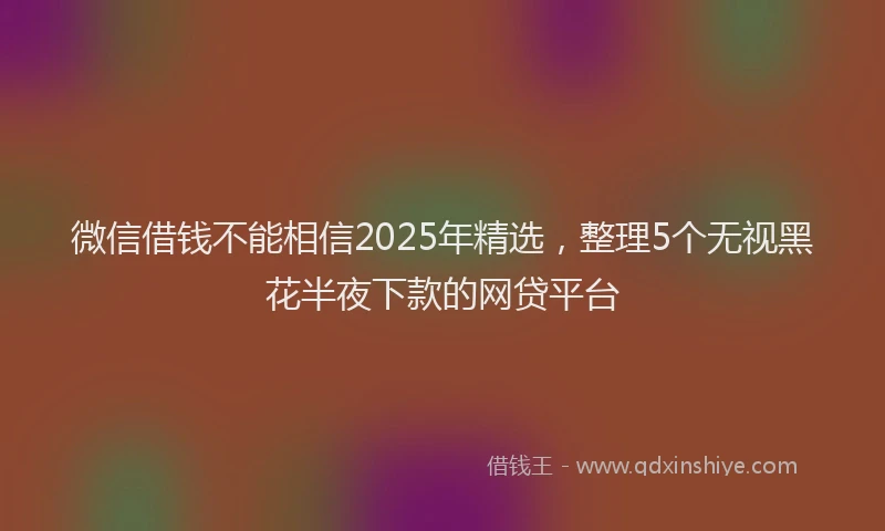 微信借钱不能相信2025年精选，整理5个无视黑花半夜下款的网贷平台