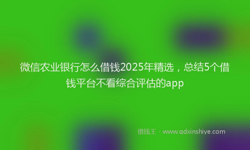 微信农业银行怎么借钱2025年精选，总结5个借钱平台不看综合评估的app