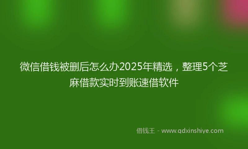 微信借钱被删后怎么办2025年精选，整理5个芝麻借款实时到账速借软件
