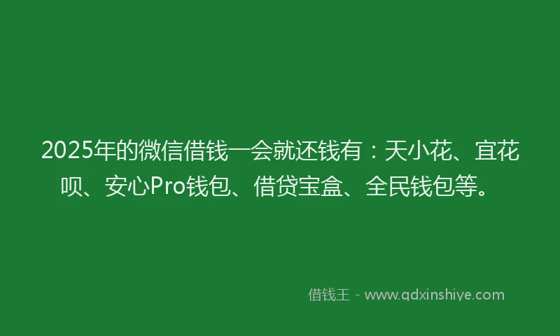 2025年的微信借钱一会就还钱有：天小花、宜花呗、安心Pro钱包、借贷宝盒、全民钱包等。