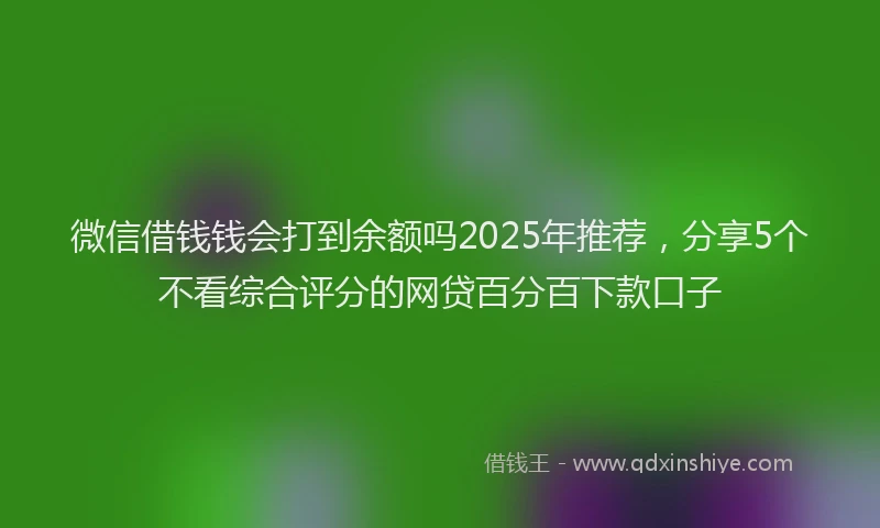 微信借钱钱会打到余额吗2025年推荐，分享5个不看综合评分的网贷百分百下款口子