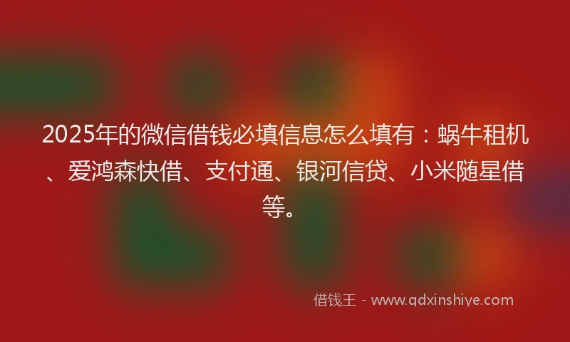 2025年的微信借钱必填信息怎么填有：蜗牛租机、爱鸿森快借、支付通、银河信贷、小米随星借等。