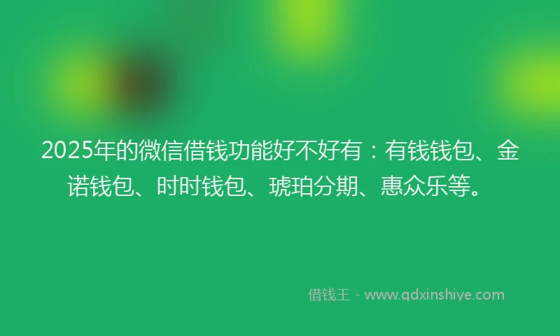 2025年的微信借钱功能好不好有：有钱钱包、金诺钱包、时时钱包、琥珀分期、惠众乐等。