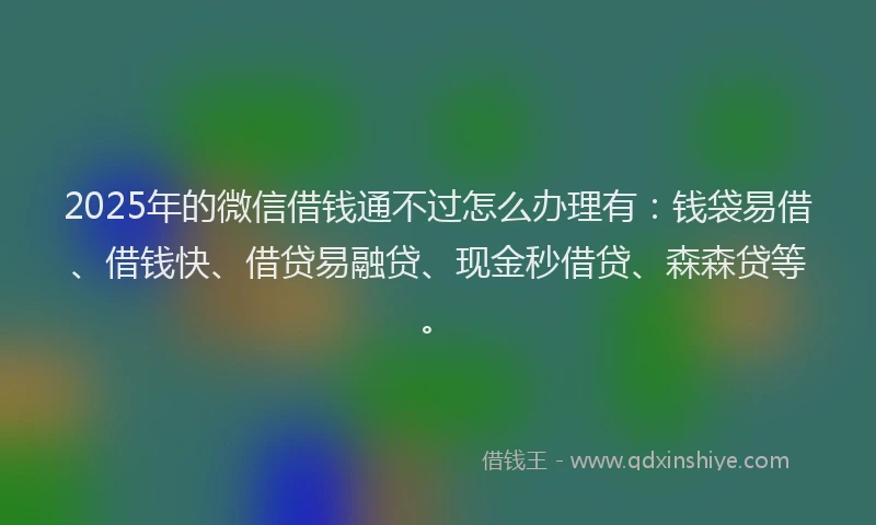 2025年的微信借钱通不过怎么办理有：钱袋易借、借钱快、借贷易融贷、现金秒借贷、森森贷等。