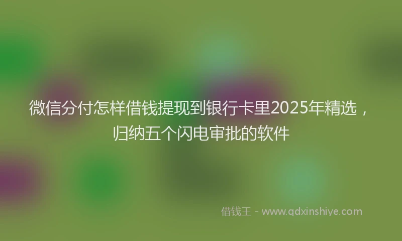 微信分付怎样借钱提现到银行卡里2025年精选，归纳五个闪电审批的软件