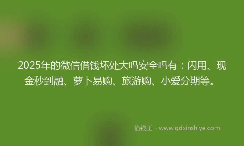 2025年的微信借钱坏处大吗安全吗有：闪用、现金秒到融、萝卜易购、旅游购、小爱分期等。