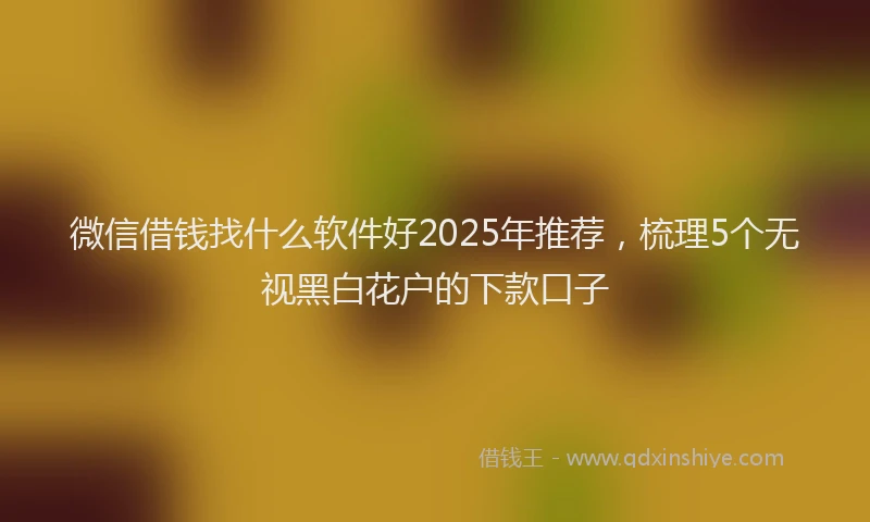 微信借钱找什么软件好2025年推荐，梳理5个无视黑白花户的下款口子