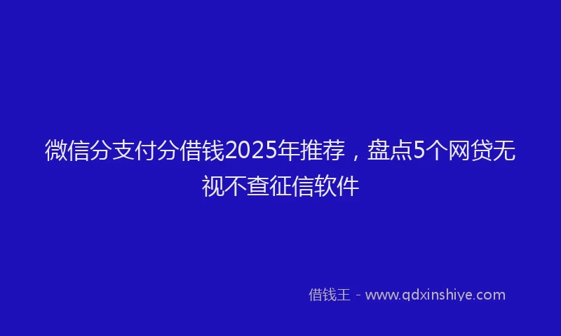 微信分支付分借钱2025年推荐，盘点5个网贷无视不查征信软件