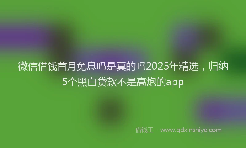 微信借钱首月免息吗是真的吗2025年精选，归纳5个黑白贷款不是高炮的app