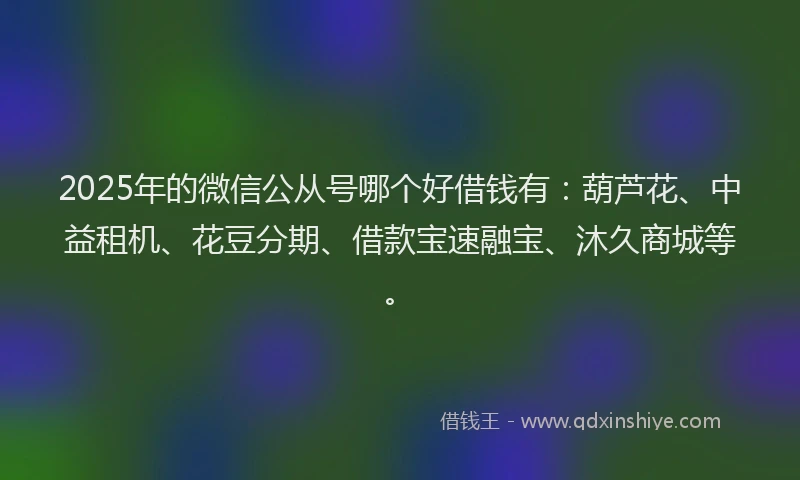 2025年的微信公从号哪个好借钱有：葫芦花、中益租机、花豆分期、借款宝速融宝、沐久商城等。